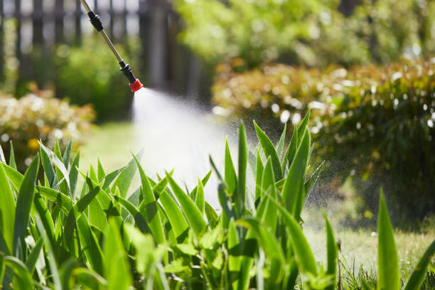 24/7 Emergency Wasp Removal experts in Groton, SD